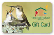 Wild Birds Unlimited Gift Card - Ruby-throated Hummingbirds